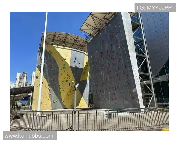 武汉攀岩队的节奏与挑战：聚焦攀岩运动的热情与发展