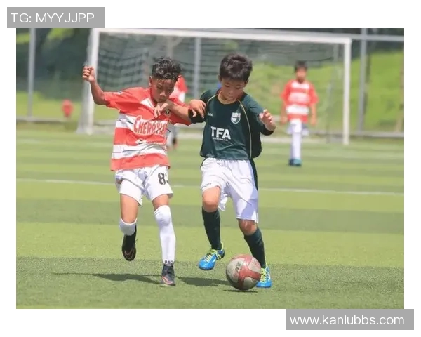 深圳篮球队耐力分析与战术适应性研究探讨