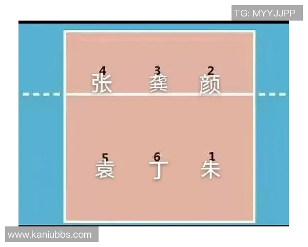 西安排球队的节奏探秘：如何打造高效排球战术与团队协作