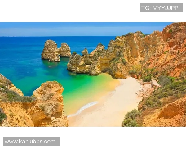 葡萄牙与阿尔及利亚激战正酣谁将赢得这场精彩对决