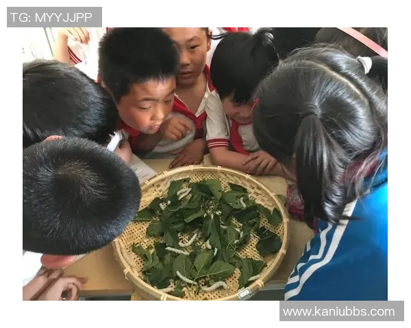 飞盘追梦:周静的热爱与坚持在运动中的成长故事 飞盘追梦:周静的热爱与坚持在运动中的成长故事